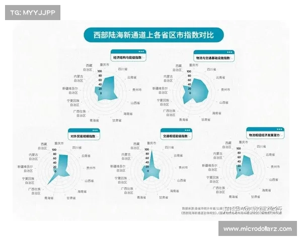 共建西部陆海新通道推动高水平对外开放促进区域经济协同发展 共建西部陆海新通道推动高水平对外开放促进区域经济协同发展